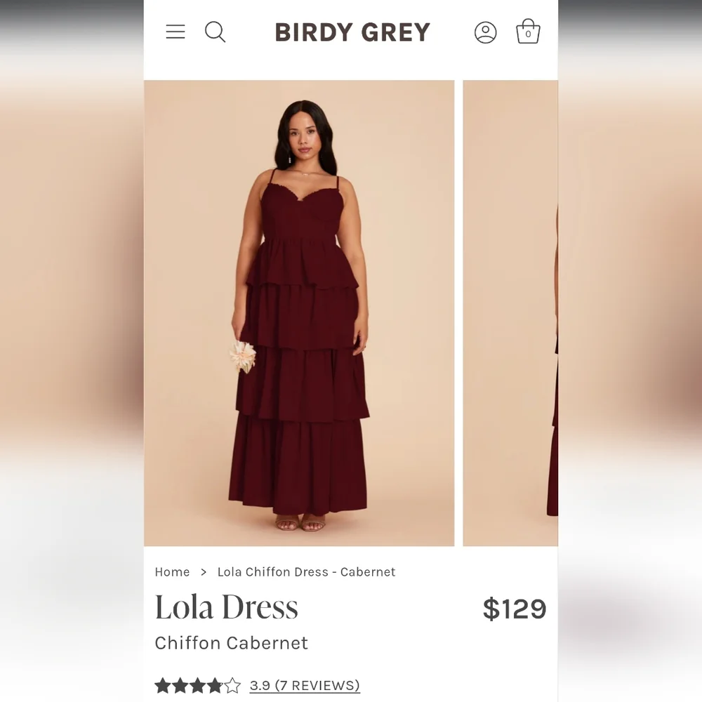 NEW Birdy Grey Lola Chiffon Cabernet Dress - Picture 4 of 10